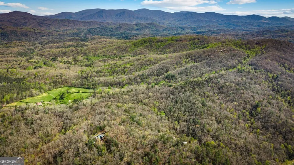 384 Maxwell RD Blue Ridge, GA 30513
