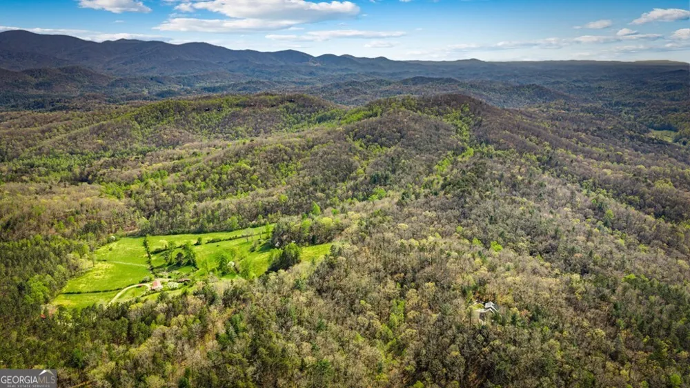 384 Maxwell RD Blue Ridge, GA 30513