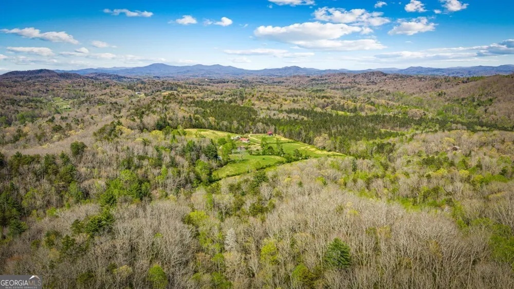 384 Maxwell RD Blue Ridge, GA 30513