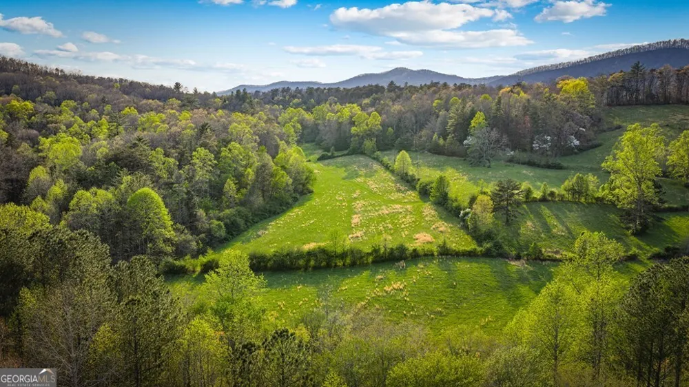 384 Maxwell RD Blue Ridge, GA 30513