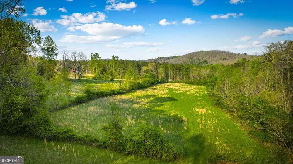 384 Maxwell RD Blue Ridge, GA 30513