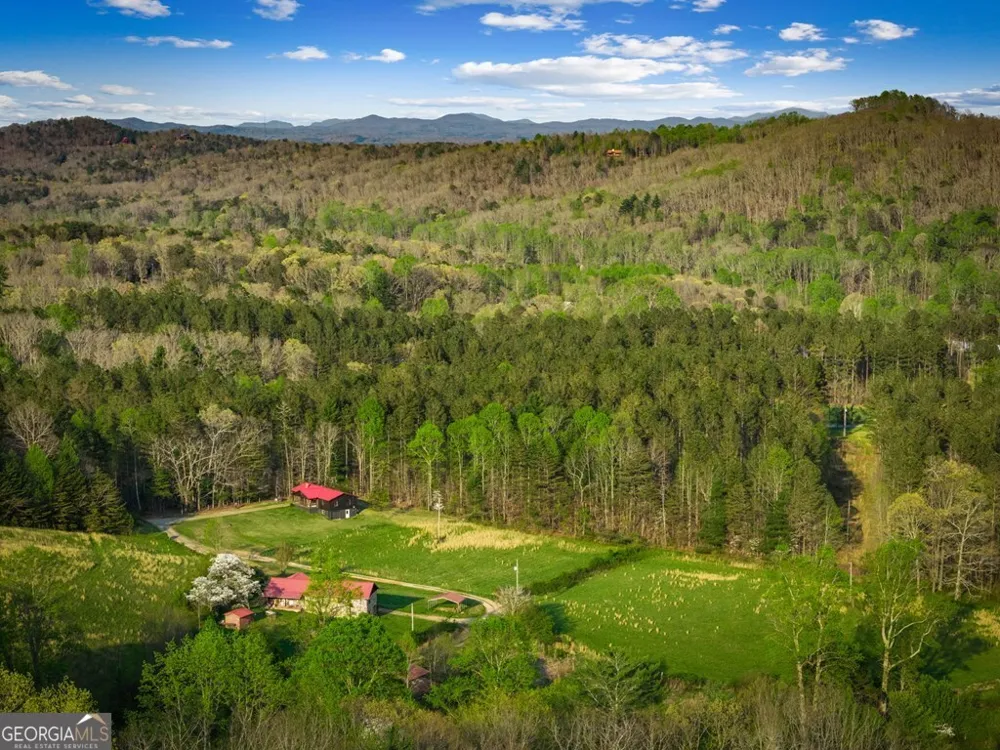 384 Maxwell RD Blue Ridge, GA 30513