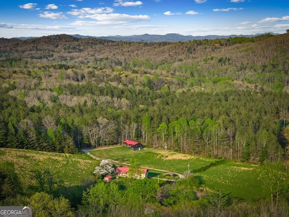 384 Maxwell RD Blue Ridge, GA 30513