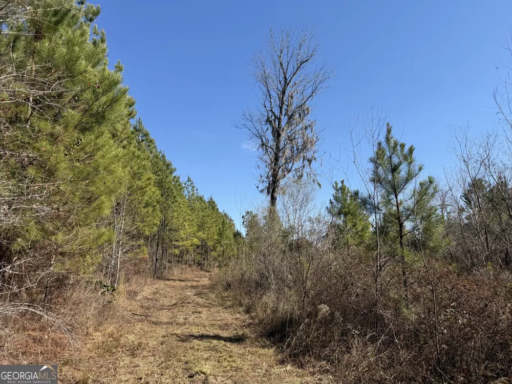 0021 Barnes RD Gordon, AL 36343