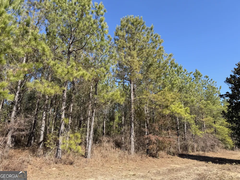 0021 Barnes RD Gordon, AL 36343