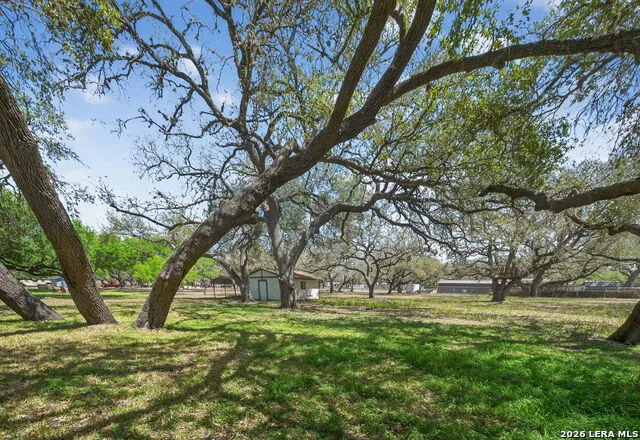 100 Crestline Pleasanton, TX 78064