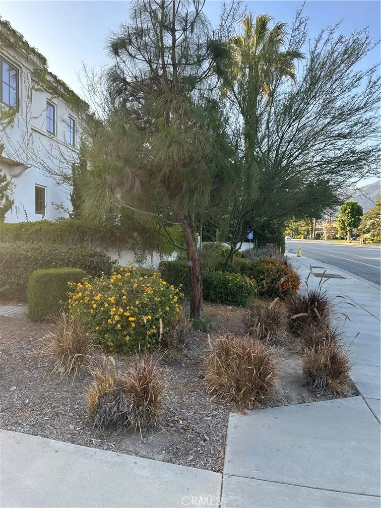 683 1st Avenue #D Arcadia, CA 91006