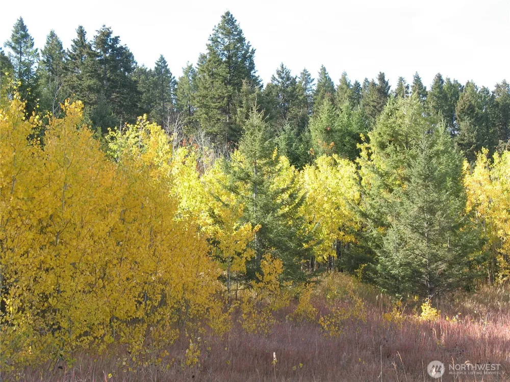 40 TURNER HOMESTEAD ROAD Oroville, WA 98844
