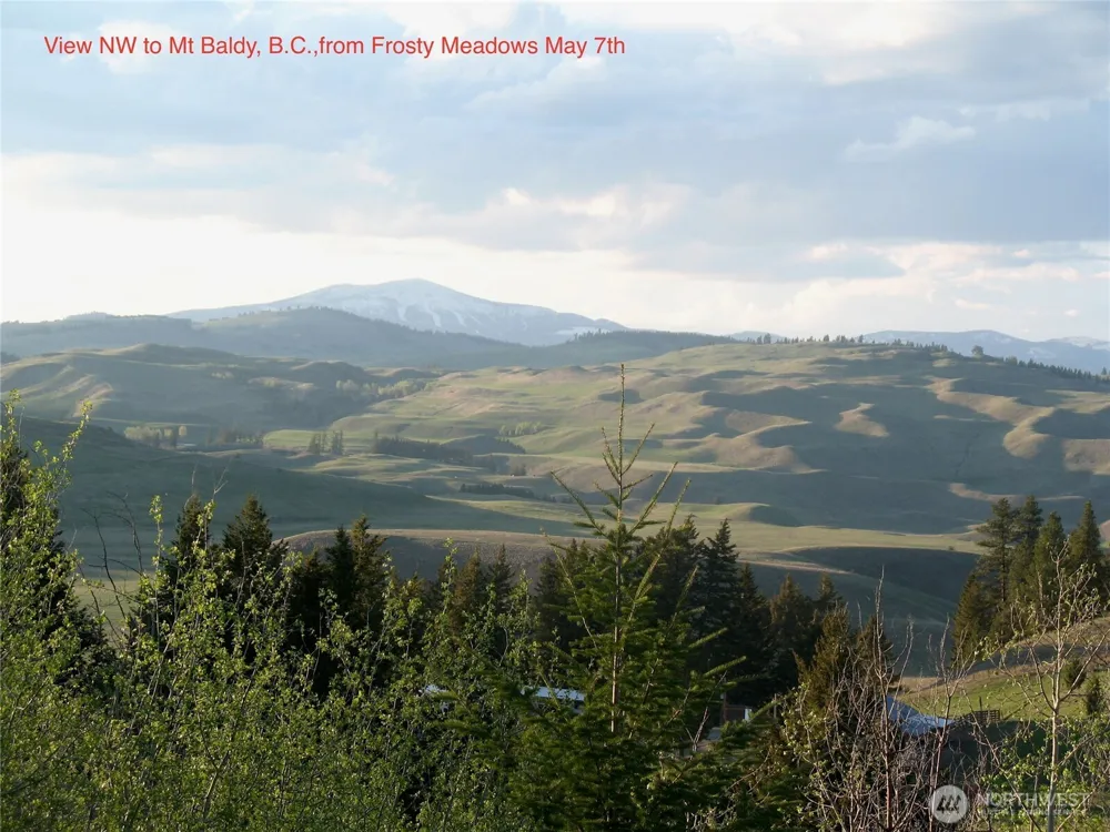 40 TURNER HOMESTEAD ROAD Oroville, WA 98844