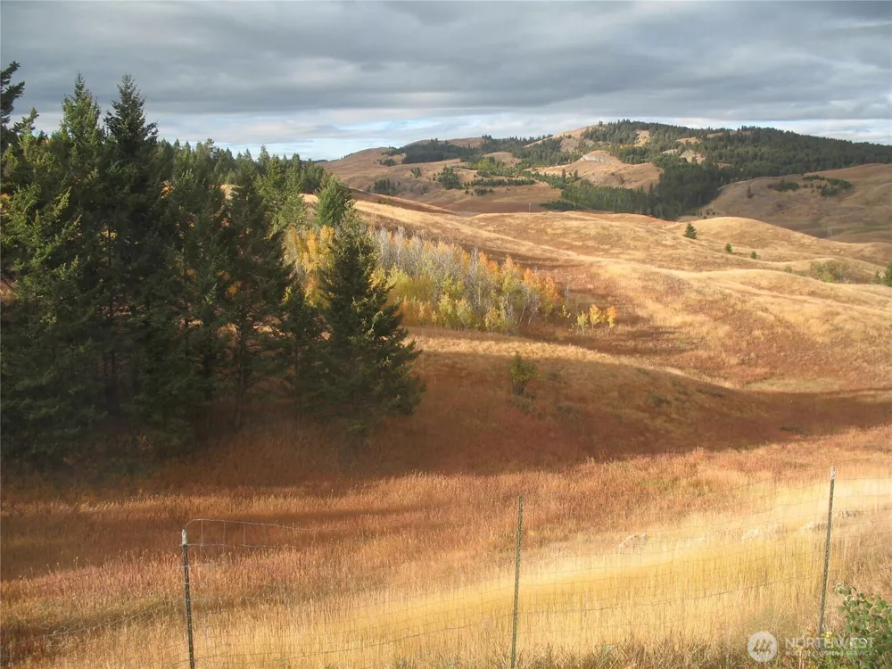 40 TURNER HOMESTEAD ROAD Oroville, WA 98844