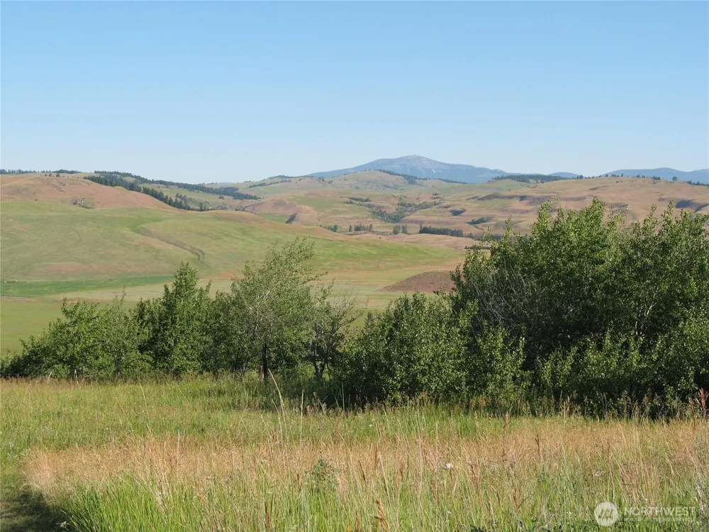 40 TURNER HOMESTEAD ROAD Oroville, WA 98844