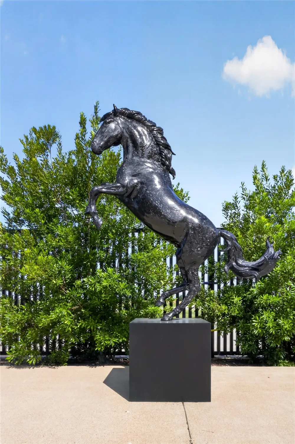 8001 Circuit of the Americas Boulevard #1508 Del Valle, TX 78617