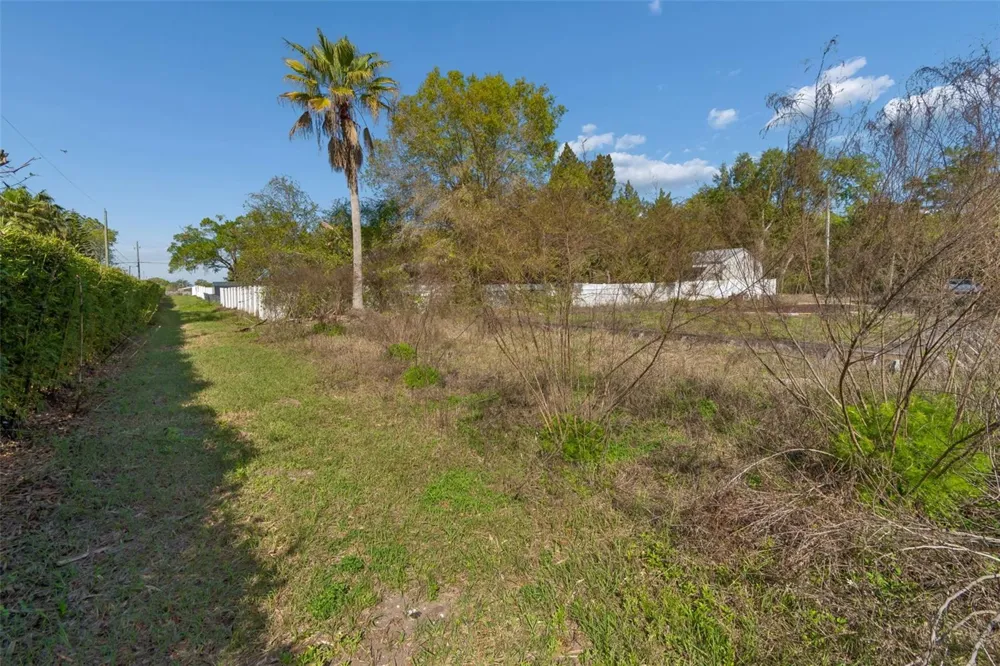 8715 BROOKE ANGELA DRIVE Odessa, FL 33556