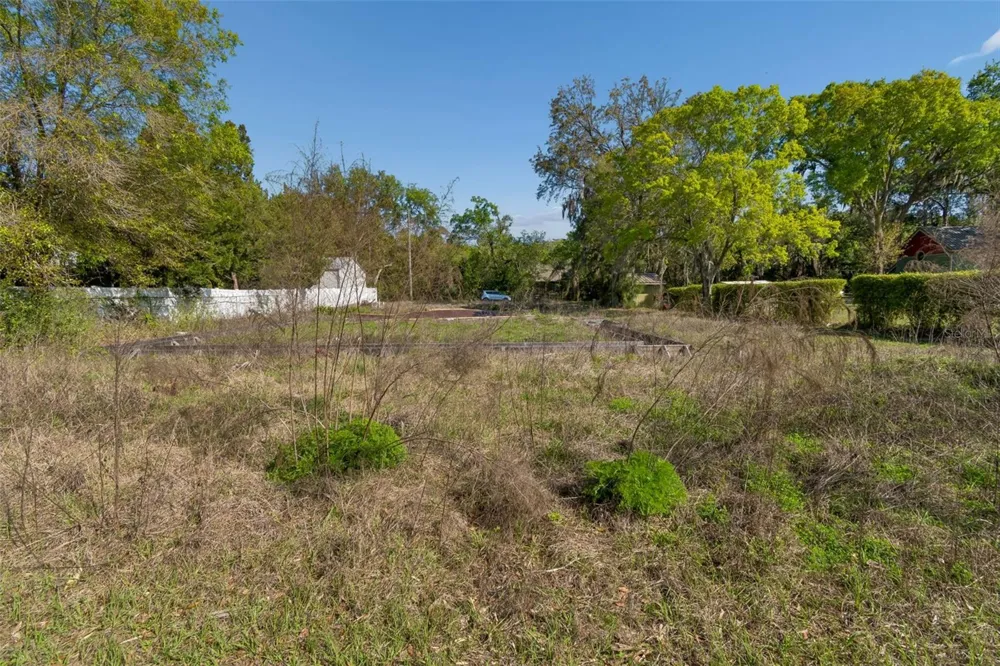 8715 BROOKE ANGELA DRIVE Odessa, FL 33556