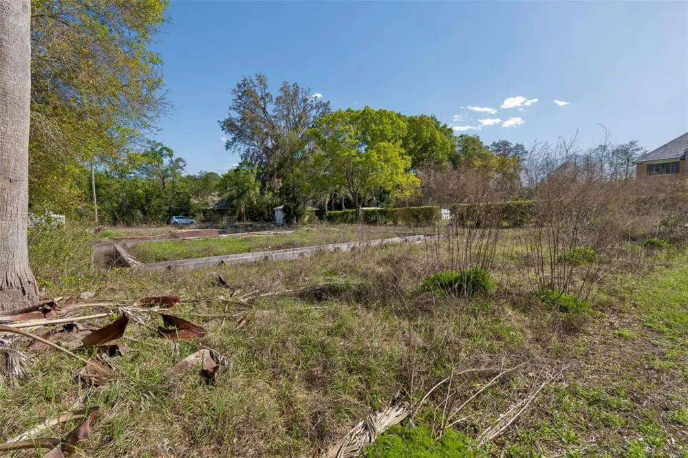 8715 BROOKE ANGELA DRIVE Odessa, FL 33556
