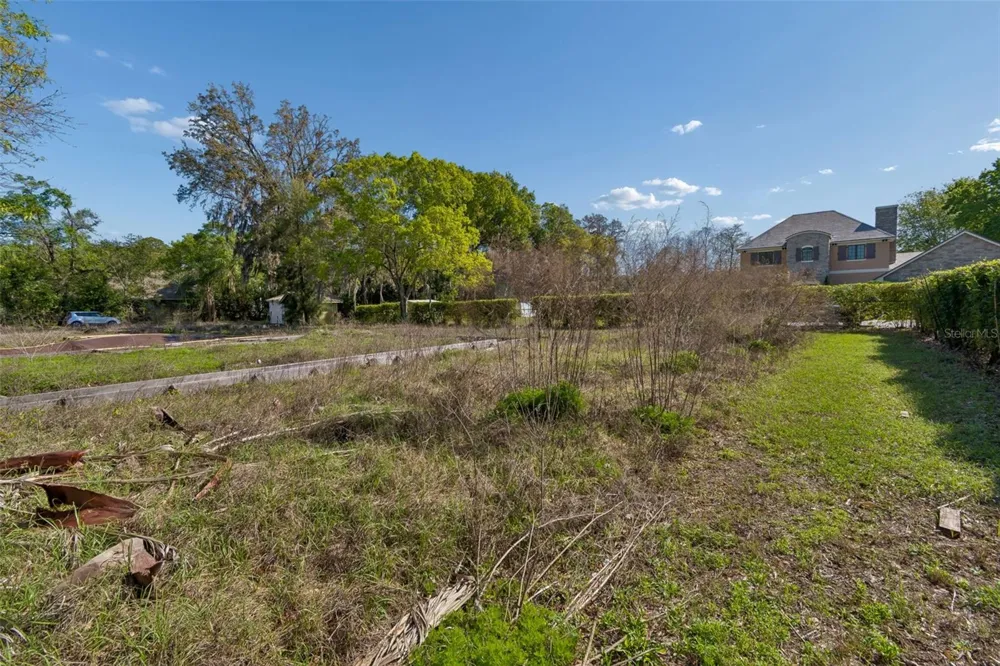 8715 BROOKE ANGELA DRIVE Odessa, FL 33556