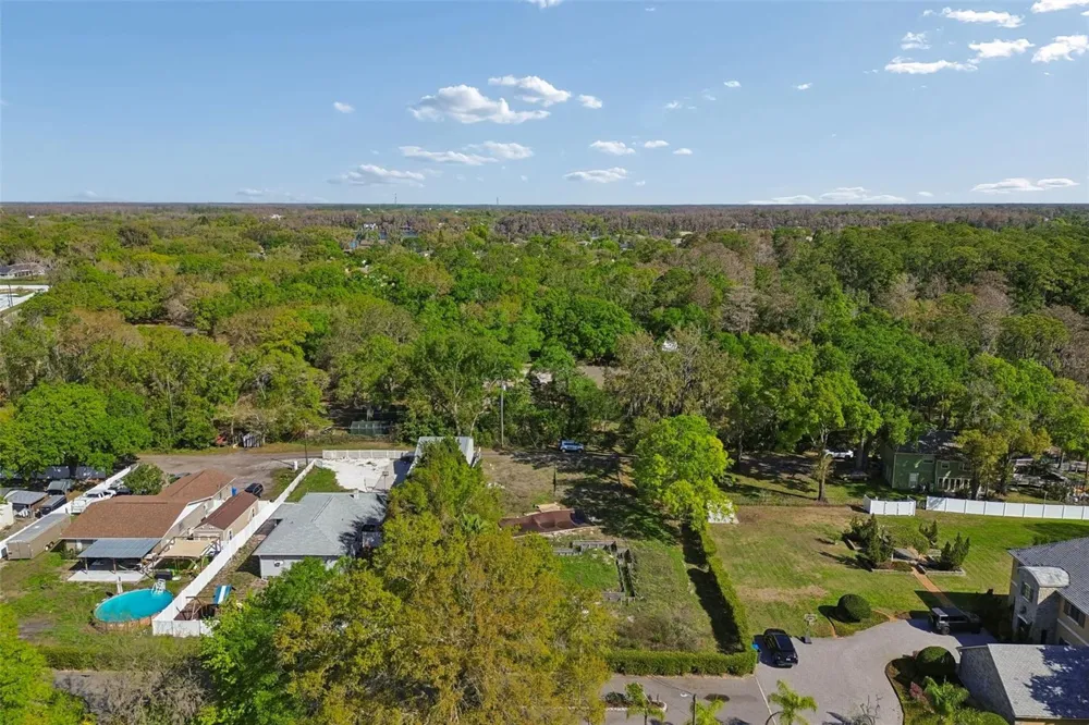 8715 BROOKE ANGELA DRIVE Odessa, FL 33556