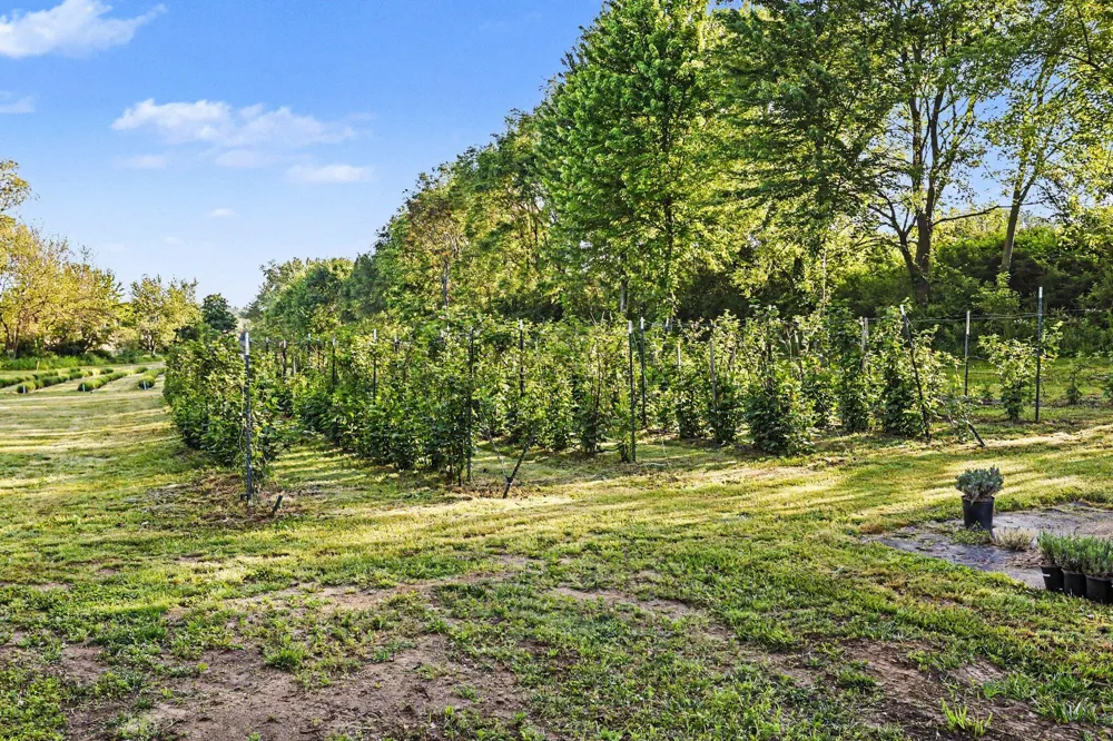 2175 E Hinchman Road Oronoko Charter Township, MI 49103