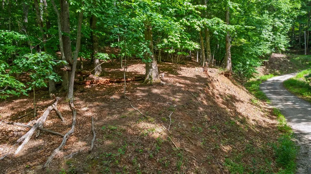 Castleman Road Franklin, NC 28734