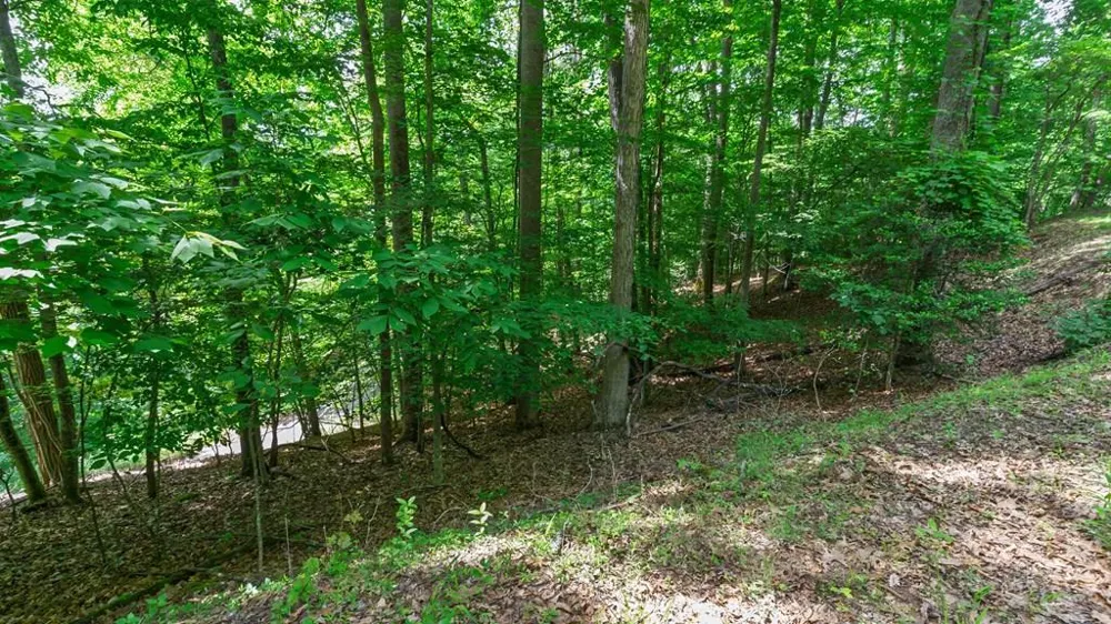 Castleman Road Franklin, NC 28734