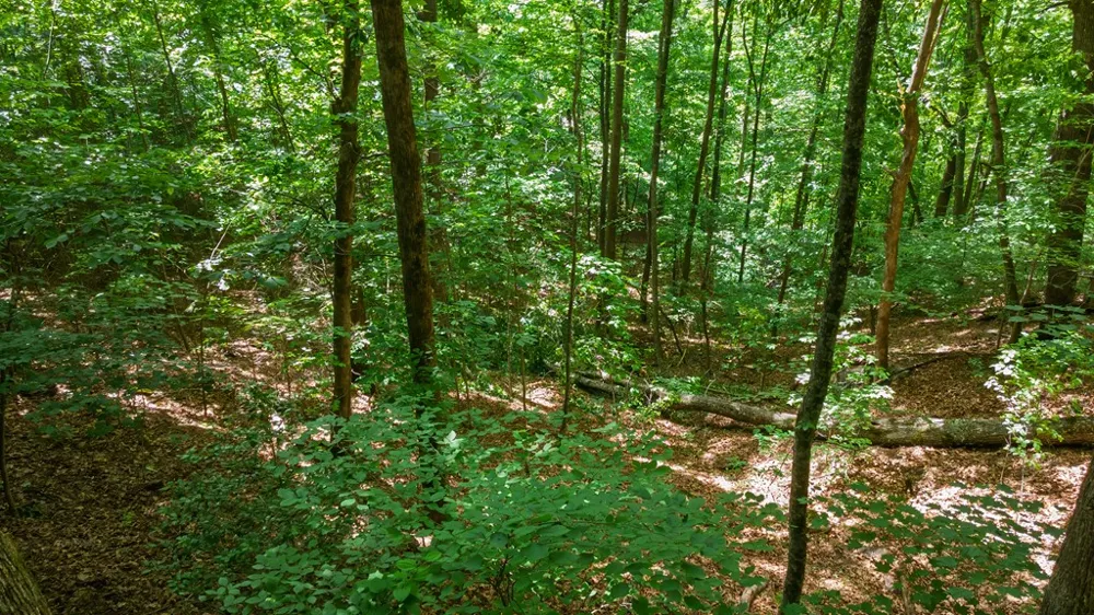 Castleman Road Franklin, NC 28734