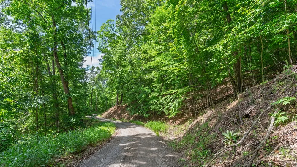Castleman Road Franklin, NC 28734