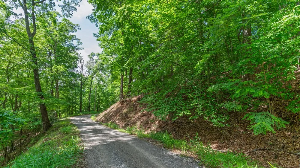 Castleman Road Franklin, NC 28734