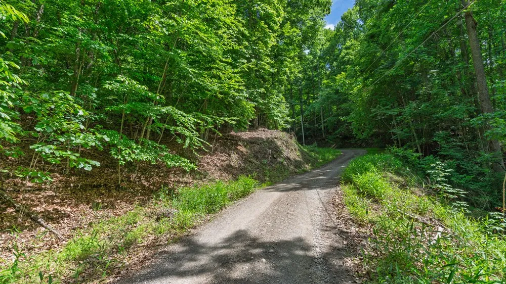 Castleman Road Franklin, NC 28734