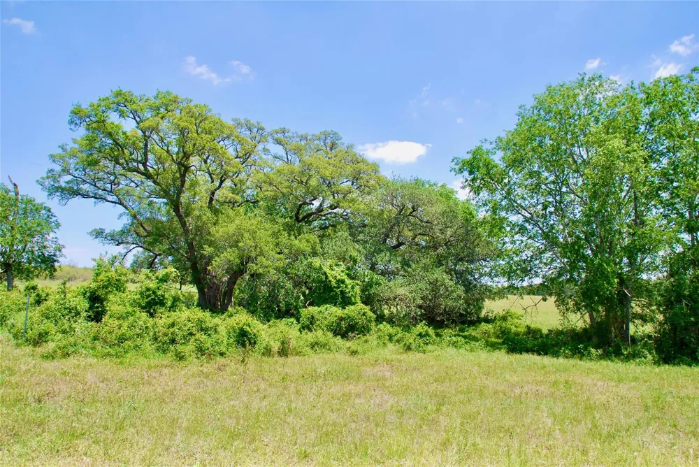 2072 Langdon Road Weimar, TX 78962