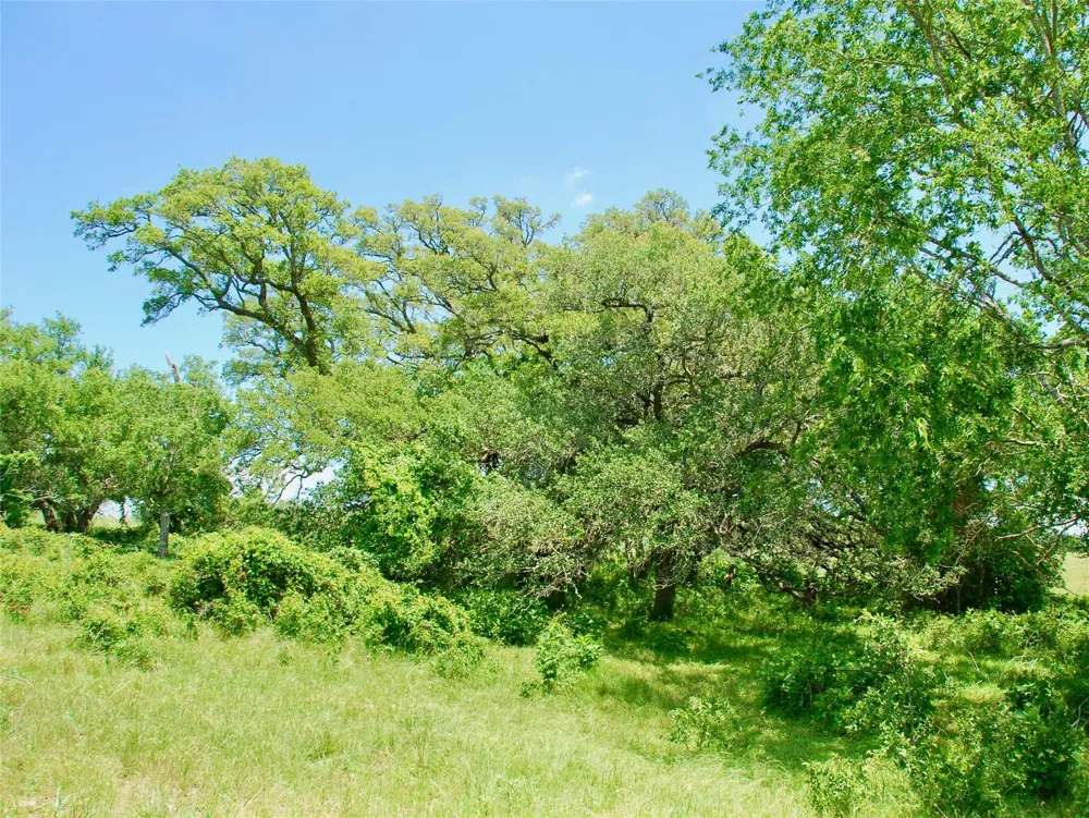 2072 Langdon Road Weimar, TX 78962