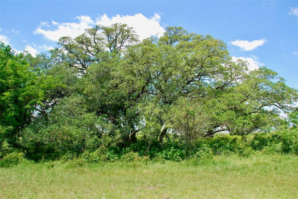 2072 Langdon Road Weimar, TX 78962