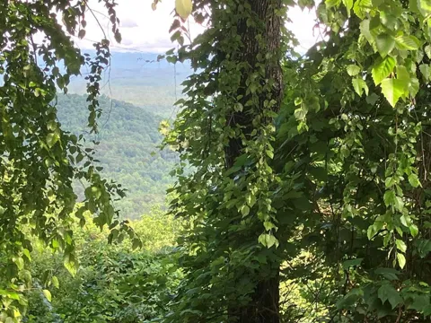 Lot 51 Buck Ridge Drive