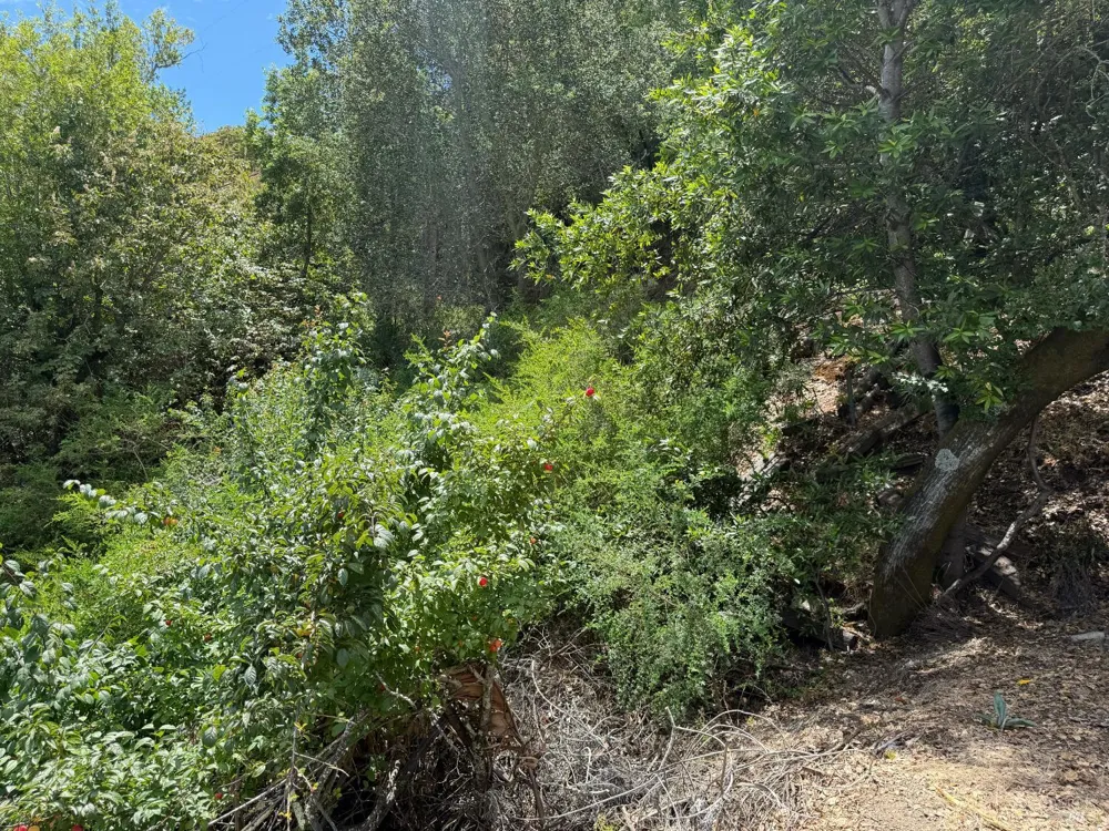 236 Tiburon Boulevard San Rafael, CA 94901