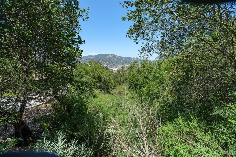 236 Tiburon Boulevard San Rafael, CA 94901