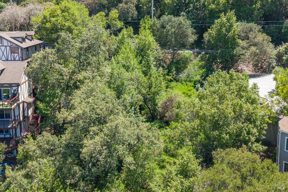 236 Tiburon Boulevard San Rafael, CA 94901