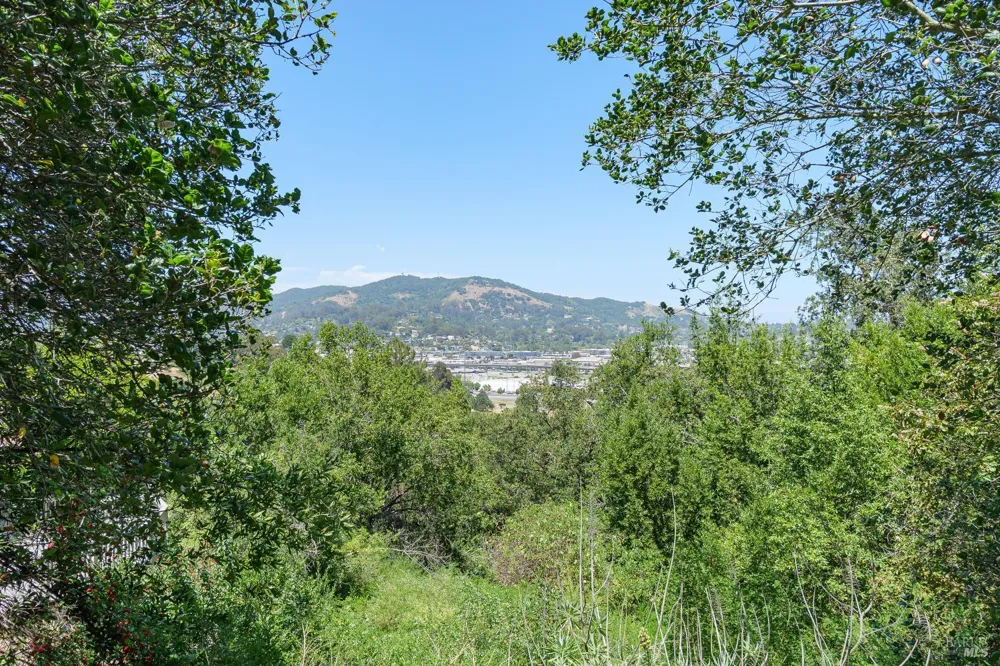 236 Tiburon Boulevard San Rafael, CA 94901