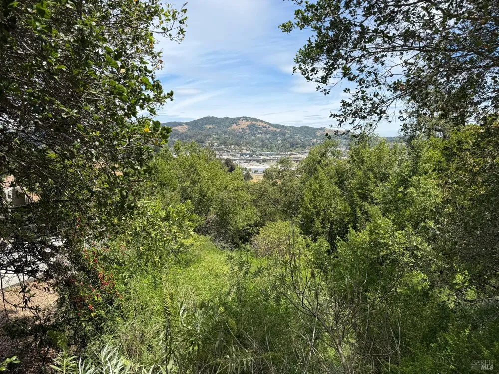 236 Tiburon Boulevard San Rafael, CA 94901