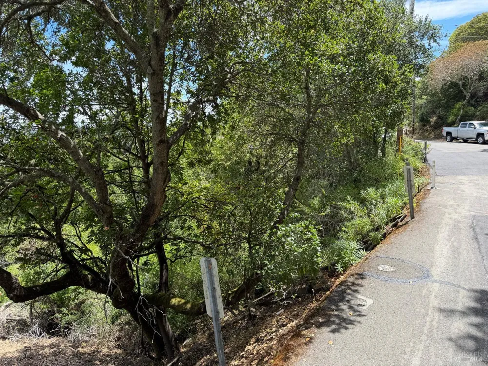 236 Tiburon Boulevard San Rafael, CA 94901