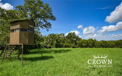 Fm 908 - 1057 Acres