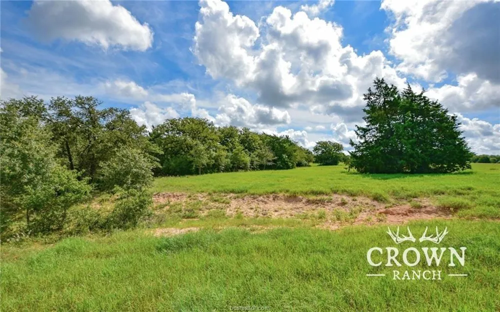 Fm 908 - 1057 Acres Caldwell, TX 77836