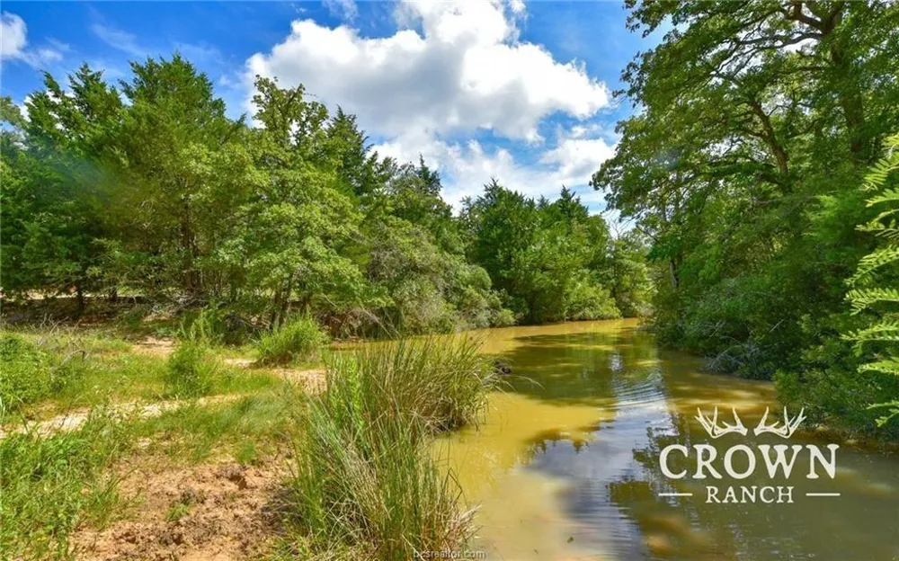 Fm 908 - 1057 Acres Caldwell, TX 77836