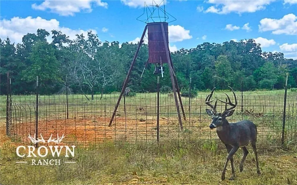 Fm 908 - 1057 Acres Caldwell, TX 77836