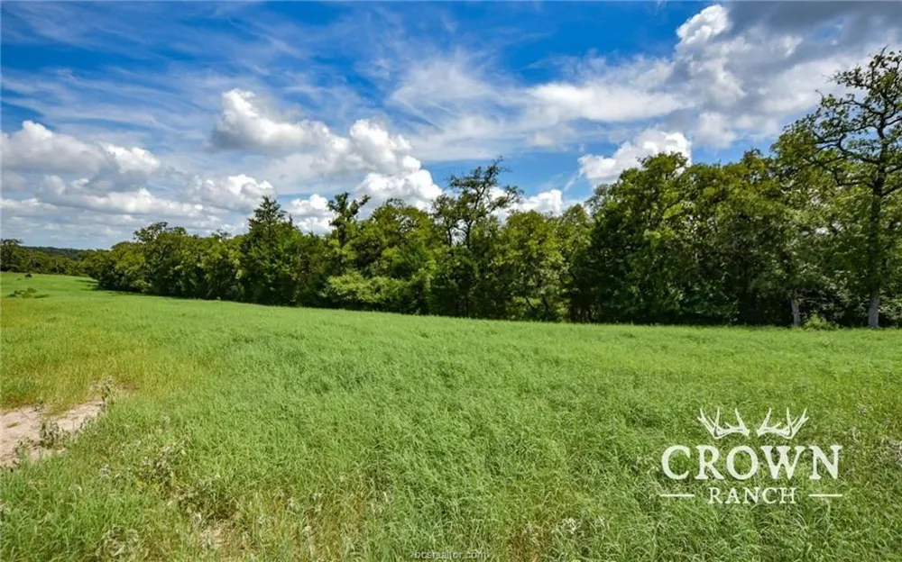 Fm 908 - 1057 Acres Caldwell, TX 77836
