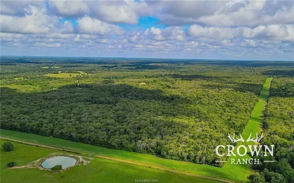 Fm 908 - 1057 Acres Caldwell, TX 77836