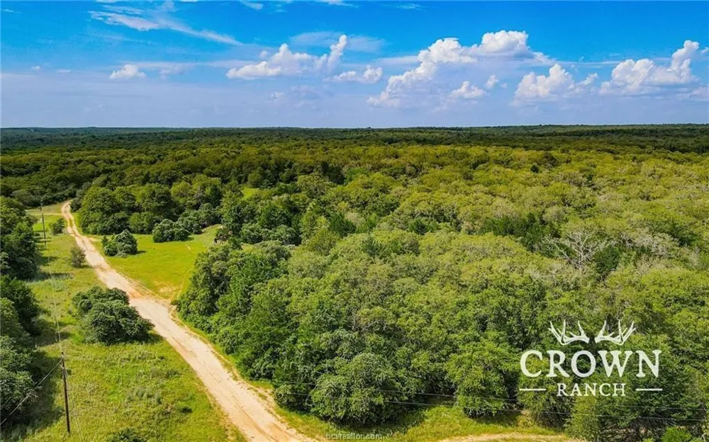 Fm 908 - 1057 Acres Caldwell, TX 77836