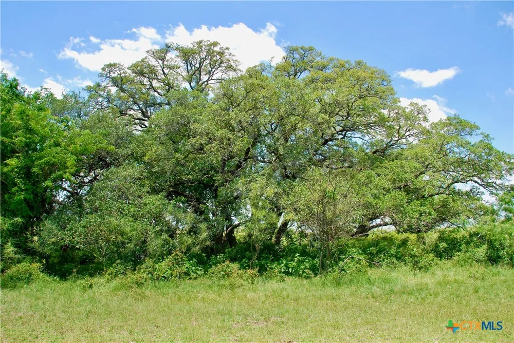 2072 Langdon Road Weimar, TX 78962