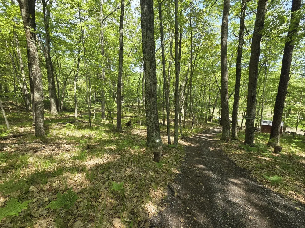 93129334 W Ox Path Street Baldwin, MI 49304