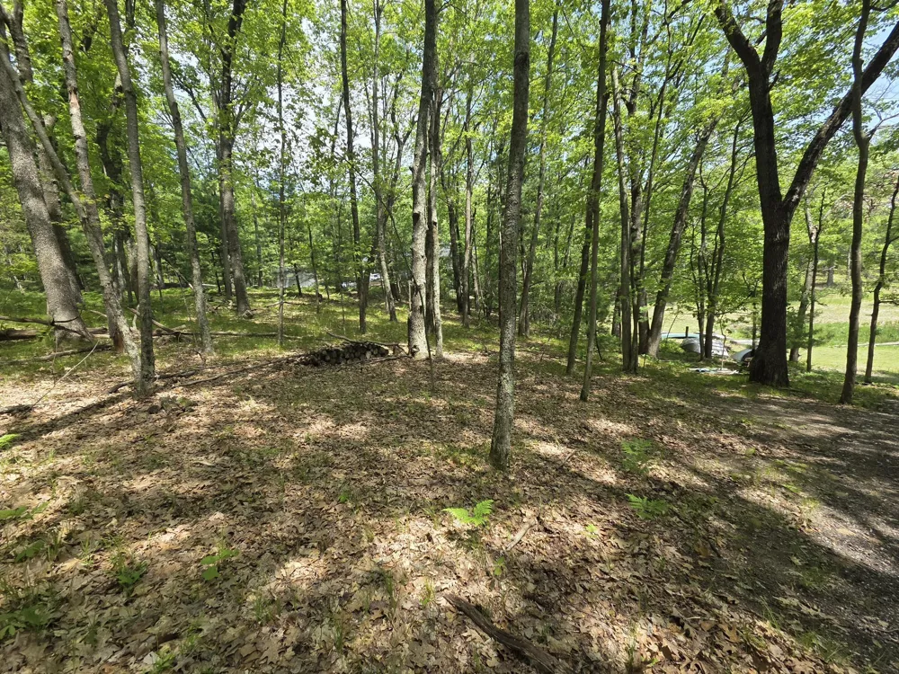 93129334 W Ox Path Street Baldwin, MI 49304