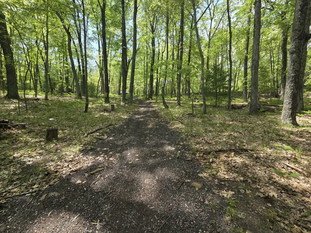 93129334 W Ox Path Street Baldwin, MI 49304