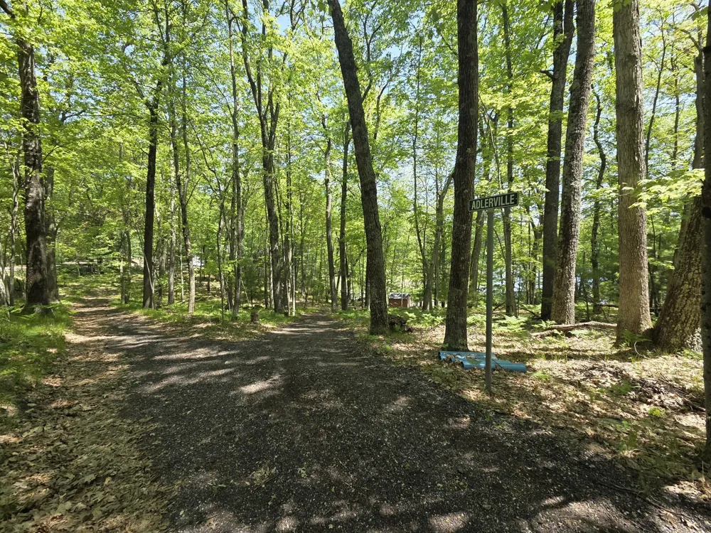 93129334 W Ox Path Street Baldwin, MI 49304